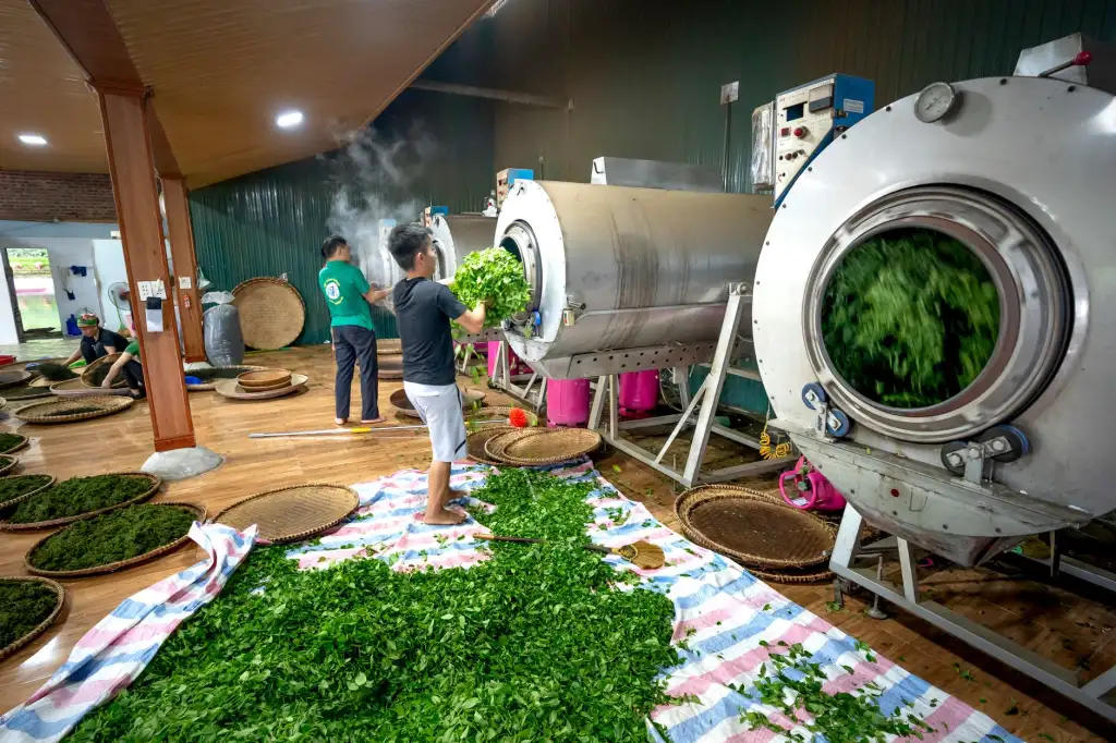 特氟龙输送带在工业微波设备中的应用优势与微波技术改造成效分析