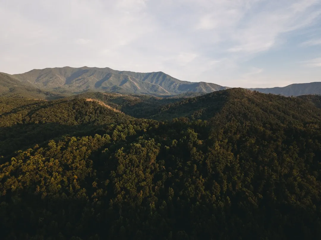 工业微波炉核心配件选型指南：风冷与水冷磁控管的区别及适用场景