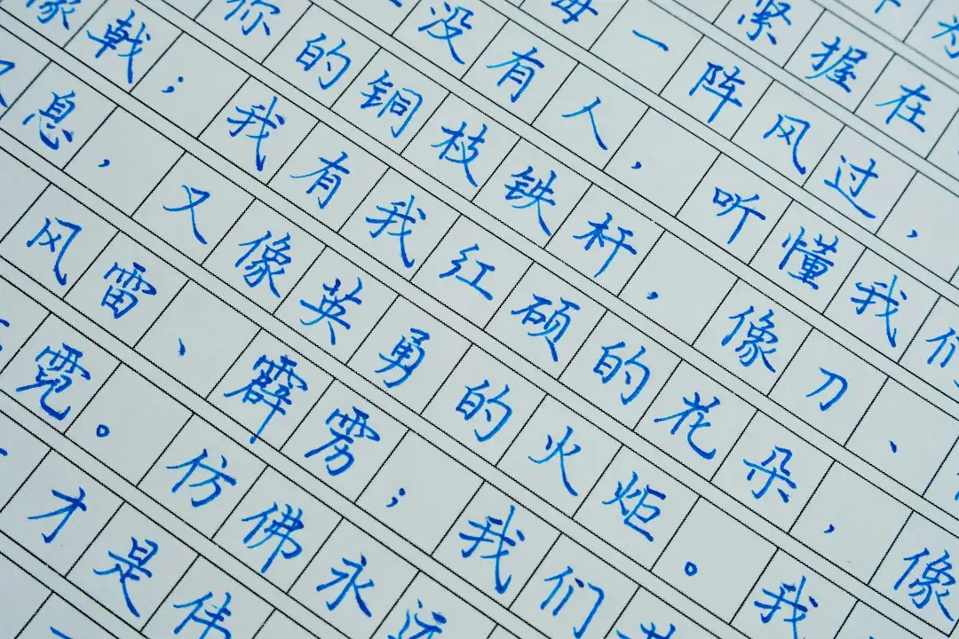 特氟龙输送带在工业微波设备中的应用优势与安装维护要点